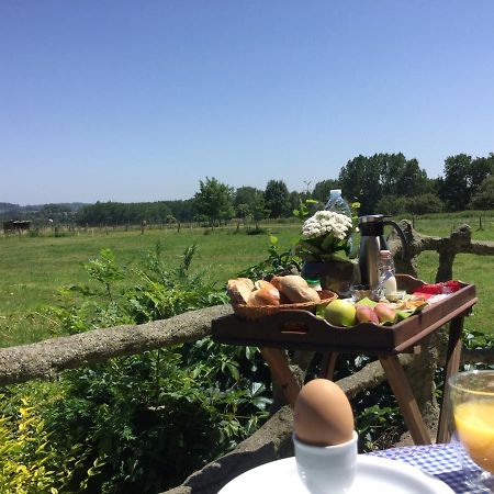 B&B Belvedere Brakel Εξωτερικό φωτογραφία